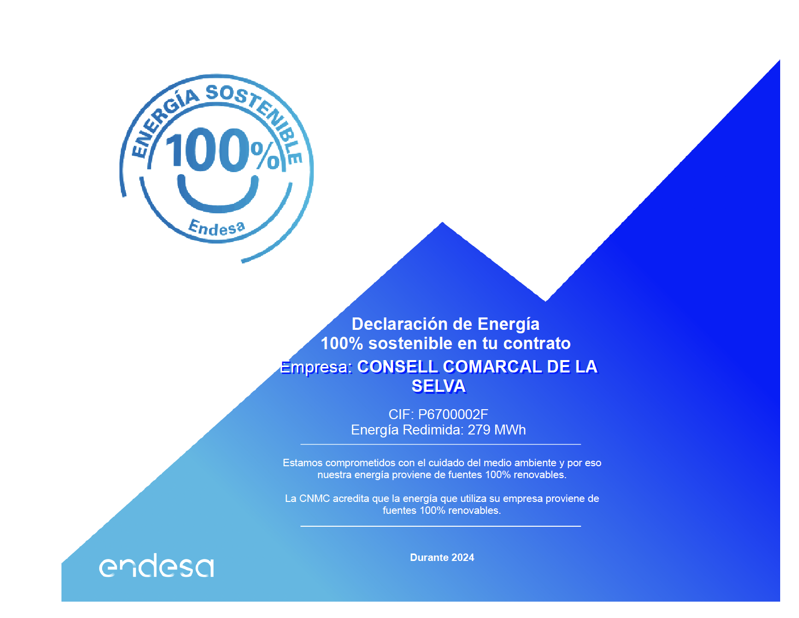 energia 100% sostenible